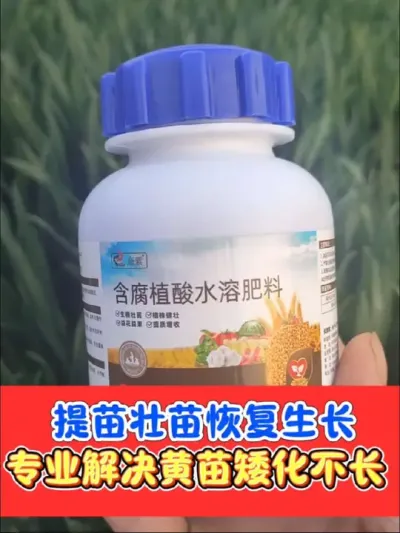 小胖子专业解决黄苗弱苗不长 药害肥害土质差，苗黄苗弱苗不长，就把《小胖子》来用上，一瓶一桶水，快速恢复长势#农资肥料 #三农种植 #小麦 #病虫害防治 #种子化肥农药