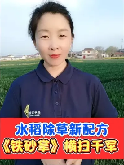 水稻除草就用《铁砂掌》 水稻田稗草马唐千金子牛筋草稻李氏禾的克星⭐《铁砂掌》水稻三叶一心后使用，死草彻底不伤水稻#水稻种植 #水稻除草剂 #水稻 #高温干田除草剂 #农资肥料