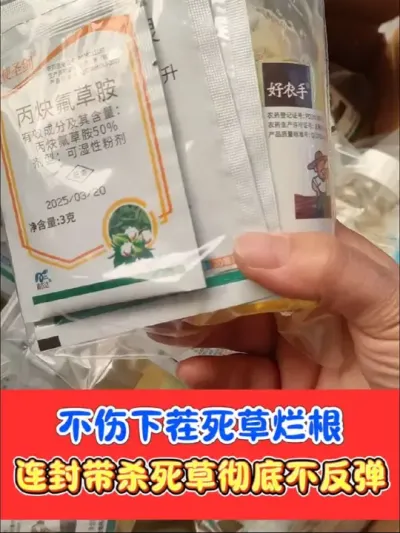 除草烂根死彻底，不影响下茬种植 连封带杀除草彻底烂根死光#除草剂 #除草 #农业种植 #除草烂根渗透力强一次解决 #农资肥料