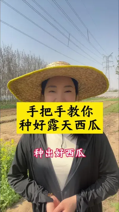 #种西瓜#西瓜种植#西瓜种植技术#露天西瓜
