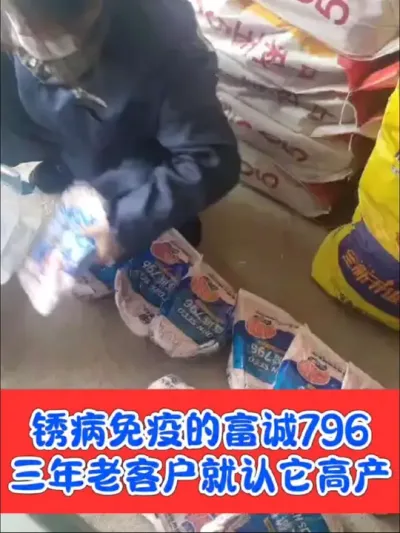 白轴大棒高抗锈病的富诚796，连续种三年的老客户夸个不停#农资肥料 #农业种植技术 #玉米 #高产玉米 #高产玉米种子