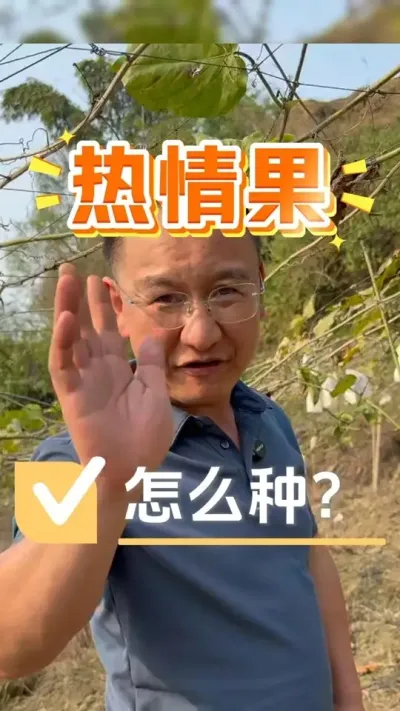 热情果到底怎么种才能成功？#种植技术 #农资肥料 #辣椒种植 #热情果 #种植小技巧