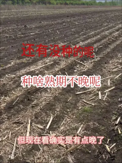 #来抖音学农技 #播种 #小满 老话说：立夏到小满种啥都不晚，现在小满过了，还有地没种的呢。咋选种子呢？