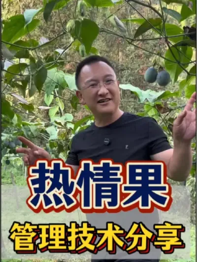 热情果 热情果管理技术大分享，快来看看吧。#农业 #三农 #热情果 #管理技术 #哥伦比亚