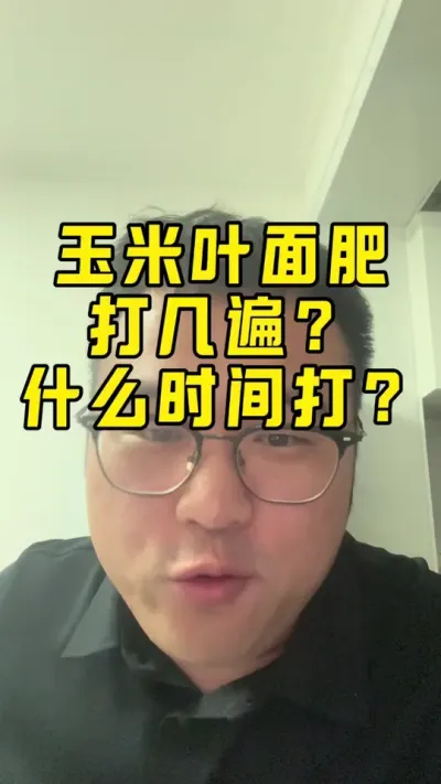 玉米叶面肥 玉米叶面肥打几遍？都什么时候打？#玉米叶面肥 #玉米种植技术