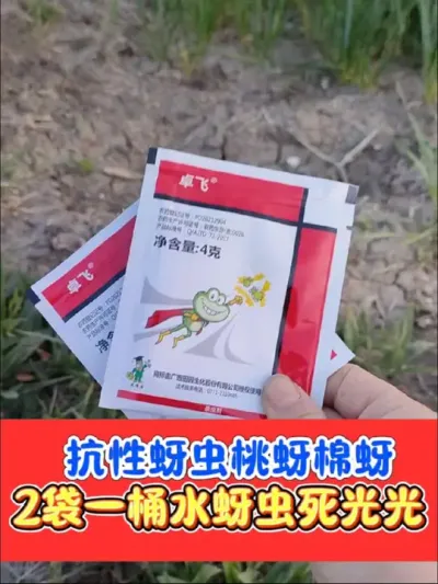抗性蚜虫桃蚜棉蚜黄蚜轻松搞定 呋虫胺氟啶虫酰胺专杀难打蚜虫，各种作物都可使用，2袋一喷雾器水，效果优秀#蚜虫 #蚜虫防治 #蚜虫防治特效配方 #蚜虫特效 #农资肥料