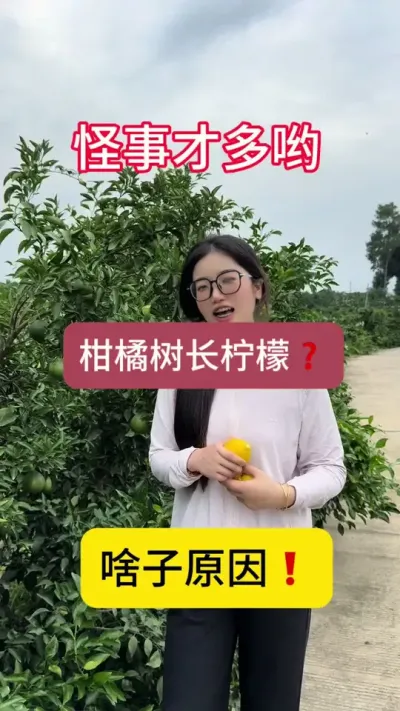 欢迎大家评论区留言！