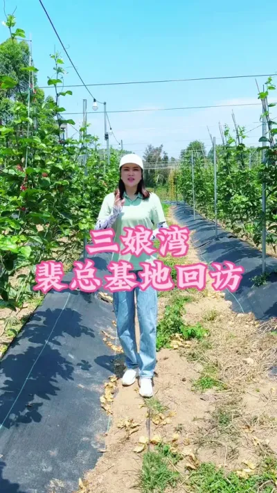广西钦州三娘湾客户基地回访！#乡村守护人 #服务三农支持三农 #抖音助农 #新农人计划 #百香果