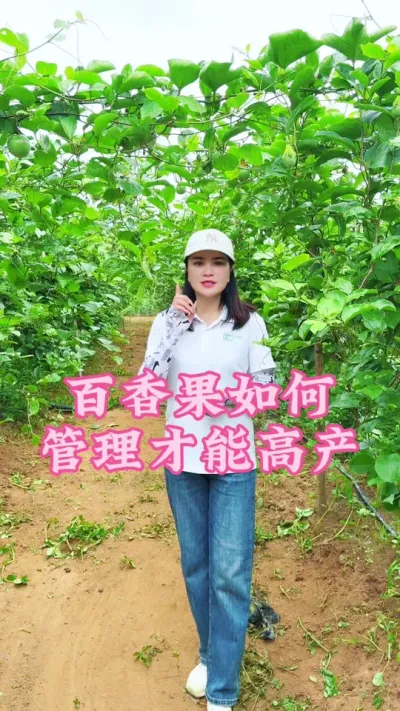 百香果如何管理才能高产？#乡村守护人 #三农 #我的乡村生活 #新农人计划 #百香果 @抖音小助手 @DOU+小助手
