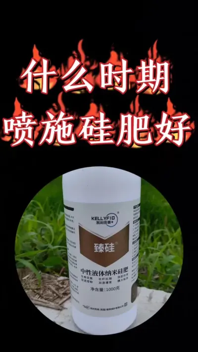 小麦什么时候喷施硅肥效果好，看了视频就明白#小麦 #三农种植 #农资肥料 #小麦种植 #小麦管理