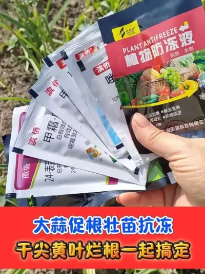 大蒜3到5叶一遍药 #大蒜种植 #大蒜 #农资肥料