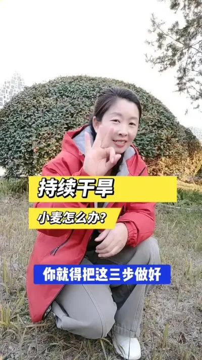 小麦苗期持续干旱三步解决 #小麦种植 #小麦管理 #三农种植 #服务三农支持三农 #农资肥料