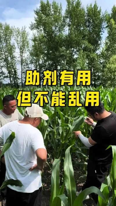 吡唑嘧菌酯不要再添加助剂了 #农业种植 #农技推广 #抖音新农人