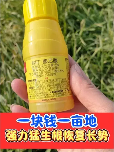 真正生根剂，吲丁萘乙酸，厂价直销，一瓶十亩地，一亩地只要一块钱#小麦 #三农种植 #农资肥料 #生根剂 #生根