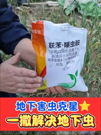 除地下害虫撒施颗粒剂 长效缓释的联苯噻虫胺颗粒，轻松一撒，解决蛴螬蝼蛄金针虫地老虎#地下虫防治 #杀虫剂 #农资肥料 #抖音助农 #农资人