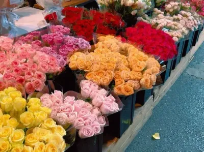 遇见漂亮的花花 当然要分享给漂亮的小公主啦.@#花