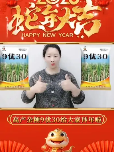 高产杂粳稻9优30，大穗500粒以上，机插秧杂粳稻首选#矮杆高产大穗水稻种子 #水稻 #水稻种植 #9优30 #农业种植
