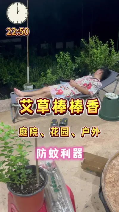 夏天的花园，户外，防蚊还是得艾草棒棒香大人#园艺生活 #防蚊必备 #盆栽果树#我的乡村生活
