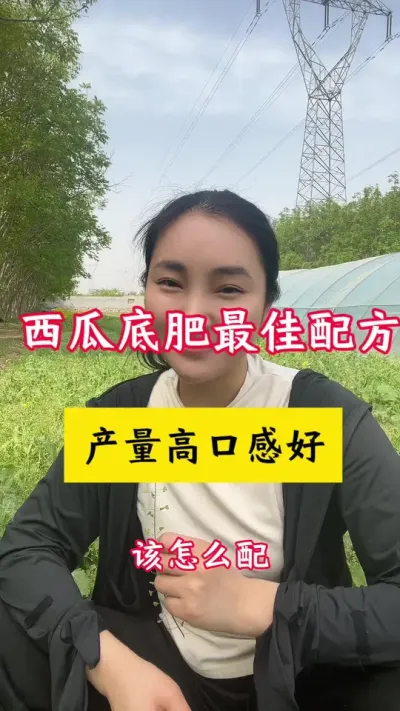 #西瓜种植 #种西瓜#西瓜种植技术#西瓜底肥