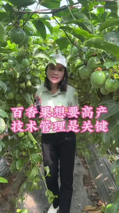 想要百香果高产，我们的技术管理很关键！#乡村守护人 #服务三农支持三农 #抖音助农 #新农人计划 #百香果 @抖音小助手 @DOU+小助手