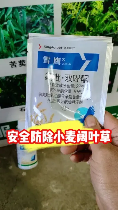 小麦阔叶草除彻底不伤小麦 #小麦种植 #小麦 #小麦种植管理技术 #农业种植 #吴平农资