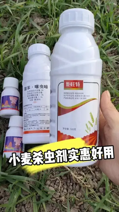 联苯噻虫嗪小麦杀虫剂便宜实用 #小麦种植 #小麦管理 #杀虫剂 #农资肥料 #小麦病虫害防治
