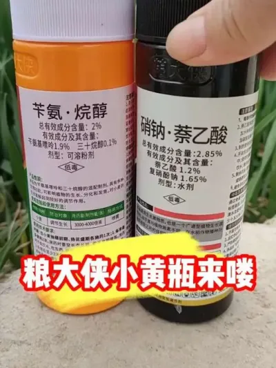 粮大侠正品小黄瓶拍一赠一太划算啦 #小麦种植 #小麦膨大剂 #小麦种植管理技术 #农业种植 #抖音助农