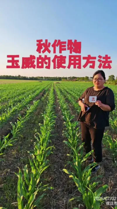 #玉威 #玉米#大豆