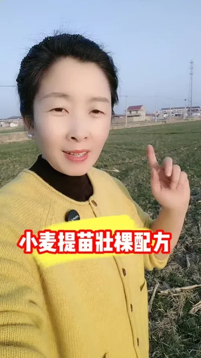 小麦提苗壮棵促分蘖一亩只要几块钱 #小麦 #小麦种植 #小麦管理 #农业种植 #吴平农资