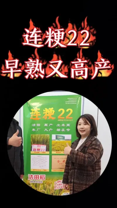 高产早熟洁田粳稻连粳22，谁种谁喜爱#水稻种植 #水稻 #连粳22 #农业种植 #抖音助农