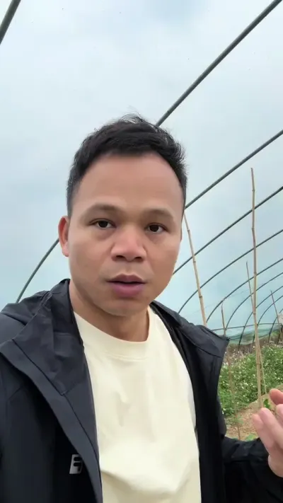 不想万斤藤，种百香果的都想亩产5000斤！#百香果#百香果种植的视频 #钦蜜9号百香果 #百香果种植教程 #种百香果