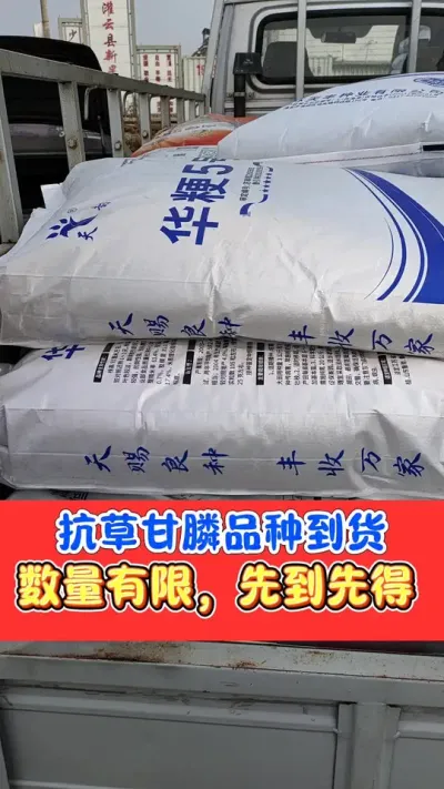 大户首选，可以打草甘膦的稻种到货了，再也不用担心杂草打不死了，数量有限，先到先得#水稻种植 #农资肥料 #农业种植 #水稻种植 #高产水稻