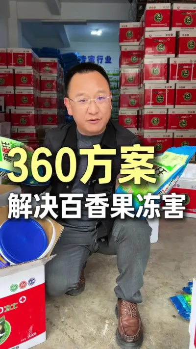 360方案解决百香果冻害问题。#农业技术推广 #种植小技巧 #三农 #百香果