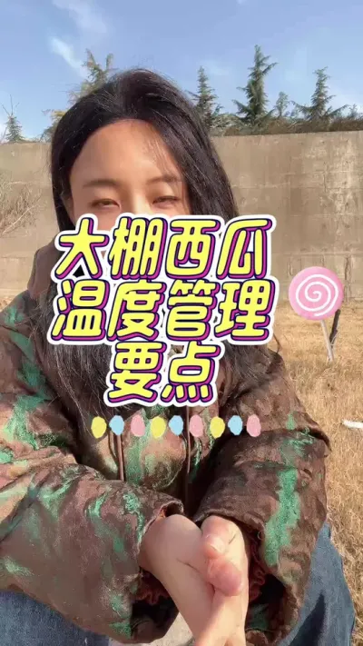 #大棚 #西瓜种植 #病虫害 #增产增收才是硬道理