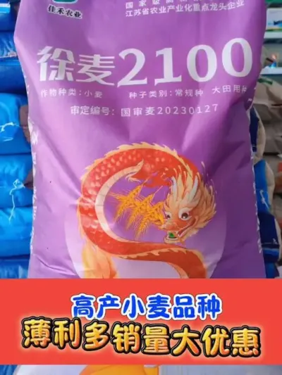 高产优秀小麦品种，欢迎选购 薄利多销量大优惠，买种子有礼品，欢迎来同兴镇吴平农资#高产小麦品种 #小麦 #小麦种植 #小麦种子 #实体农资店