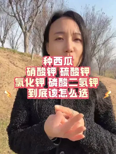 #种西瓜 #西瓜种植 #增产增收才是硬道理