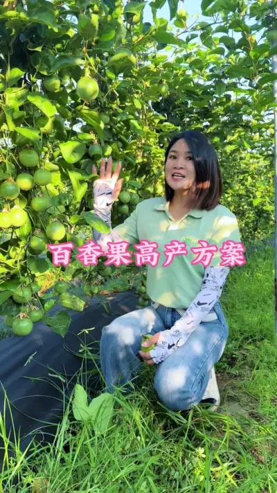 百香果高产水肥方案来了，大家记得收藏起来#乡村守护人 #服务三农支持三农 #百香果 #新农人计划 #抖音助农 @抖音小助手 @DOU+小助手