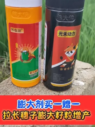 水稻增产膨大剂买一赠一 正品粮大侠膨大剂，增产增收显著#水稻种植 #水稻 #农资肥料 #膨大剂 #农业种植