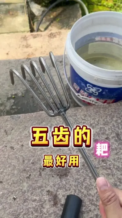 五齿的老铁最好用，你要来一个吗？#种植小技巧 #种菜 #楼顶果园 #楼顶菜园#小院种植