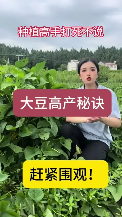 大豆高产秘诀！赶紧围观#三农 #三农种植 #种植技术 #大豆种植
