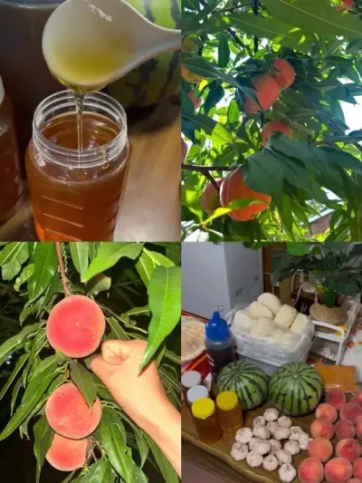 老弟的狂妄换来家人一千多公里外的投喂哈哈！长大后却很怀念小时候的生活！谁知道这土蜂蜜市面上多钱一斤啊？！#日常 #农村生活 #农村美食 #土特产 #土蜂蜜