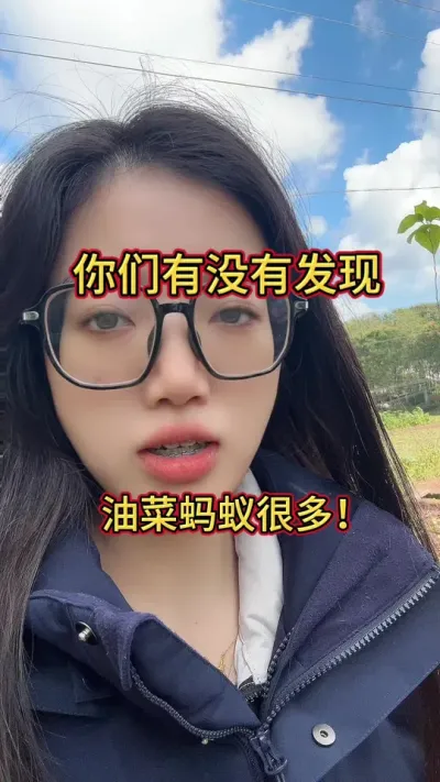 快去看哈你的油菜地有没有蚂蚁🐜#油菜种植 #三农