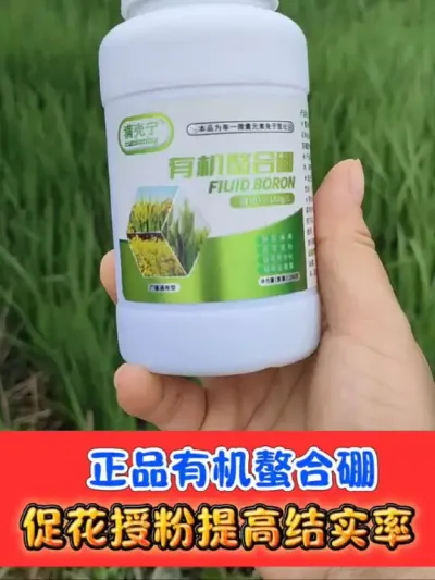 正品有机螯合硼，促花授粉提高结实率 一瓶十亩地，一季使用两至三次，水稻提高结实率增产显著#水稻种植 #硼肥 #水稻 #农资肥料 #农业种植