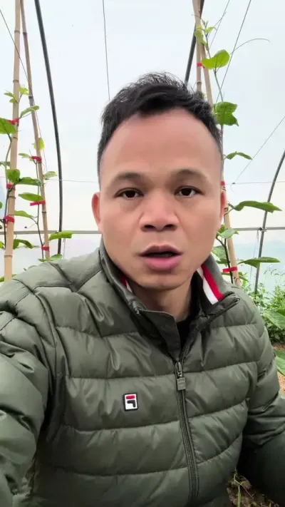土壤过于板结会不利于百香果的根部生长#种百香果 #农业技术推广