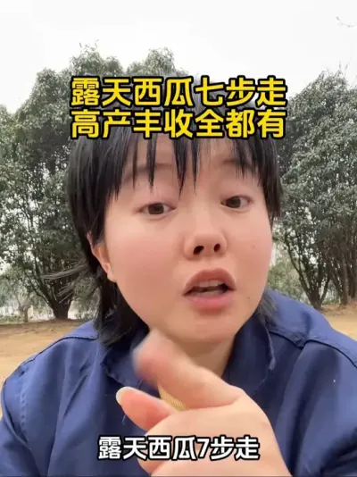 #西瓜种植#西瓜种植技术#西瓜管理#西瓜高产