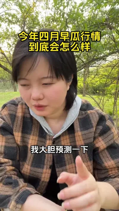 #西瓜种植#西瓜高产#西瓜种植技术#西瓜管理#西瓜行情