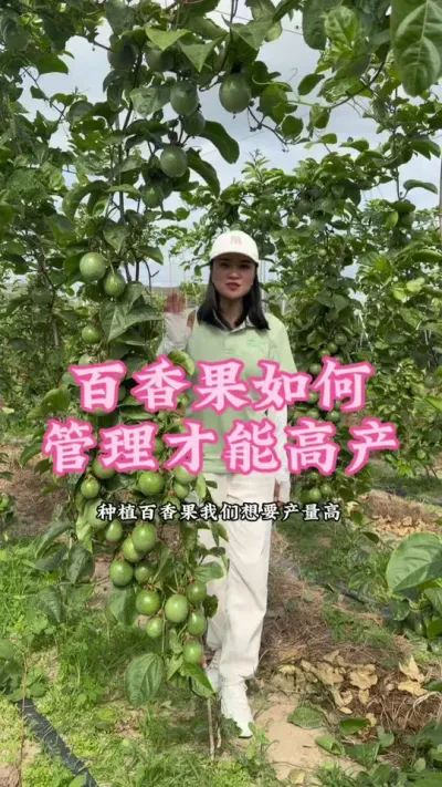 百香果如何管理才能高产，一个视频告诉你！#乡村守护者 #抖音助农 #农村生活  #三农 #百香果@抖音小助手 @DOU+小助手