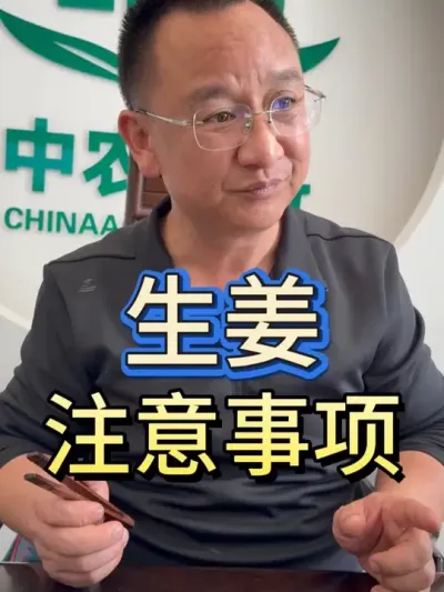 生姜注意事项 #生姜 #种植 #三农 #注意事项 #技巧