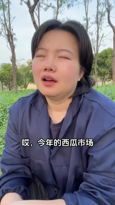 #西瓜种植#西瓜管理#西瓜高产#西瓜行情#西瓜种植技术