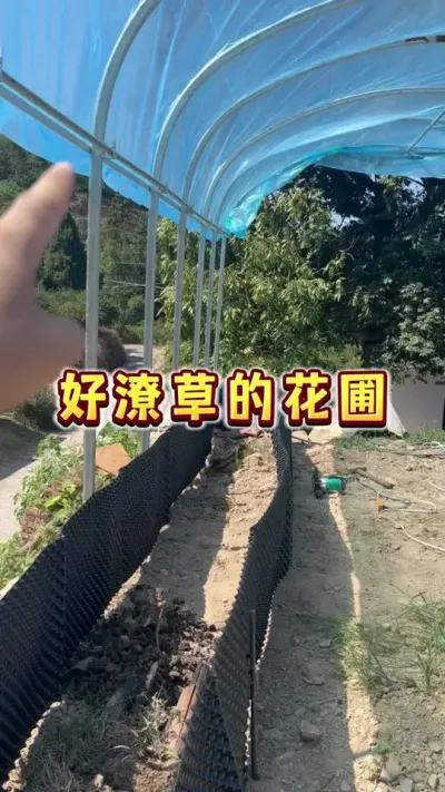 好潦草的花圃🤣我要一步步让这个4&times;8米的避雨棚下面长满漂亮的果果，然后在下面xiu烤！#草莓#家庭种植 #盆栽果树#我的农村生活 #贝子的盆栽小果园